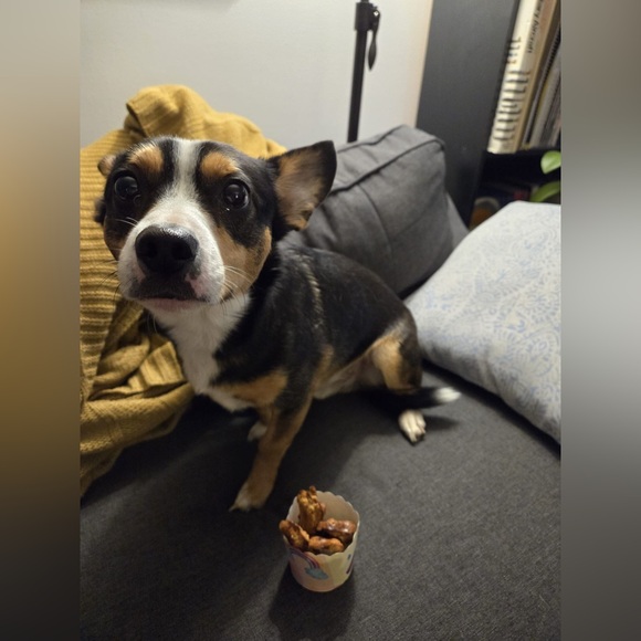 Meet your Posher, - Picture 10 of 11